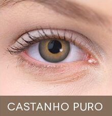 Lentes de contato coloridas Impressions Colors Castanho Puro